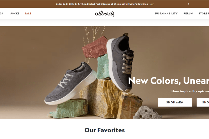 allbirds